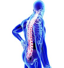 Daycare spine surgery Nagpur